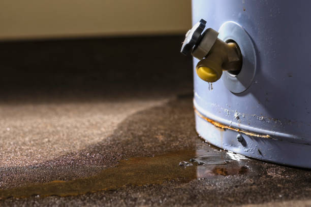 Best Fire Damage Restoration  in Pine Island Center, FL