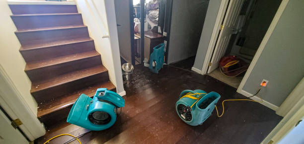 Best Sewage cleanup and water damage restoration  in Pine Island Center, FL