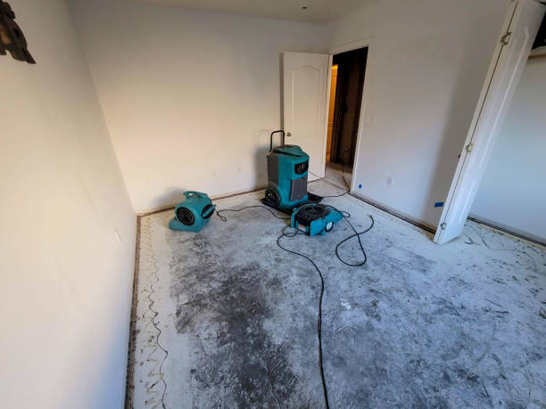 Best Basement water damage restoration  in Pine Island Center, FL